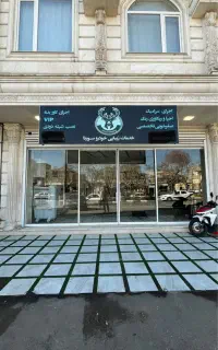 خدمات زیبایی خودرو