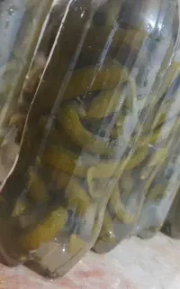 خیار شور سوپر ویژه
