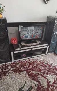 باند های خانگی