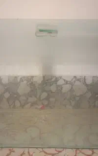 آکواریوم سالم