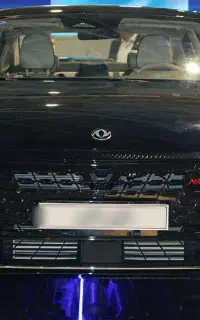 دانگ فنگ شاین مکس