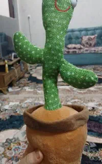 کاکتوس رقصان