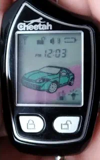 دزدگیر تصویری چیتا