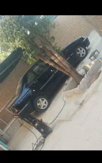 پارس مشکی