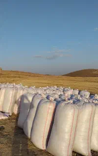 کاه کاهکوب