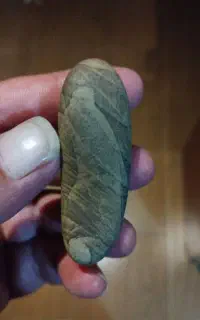 سنگ جالب داخلش روخ یک پرنده دیده میشه