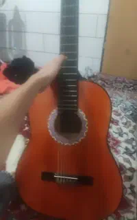 گیتار نو نو حرفه ای