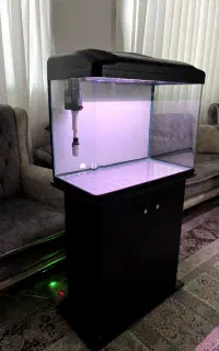 اکواریم شرکتی دلسا