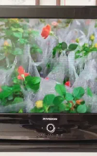 سامسونگ ایکسویژن 32 مانیتور 22 فروشی