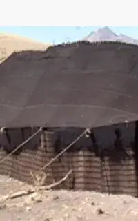 سیاه چادر(سیه مال)