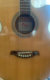 گیتار آکوستیک اکولایزر دار