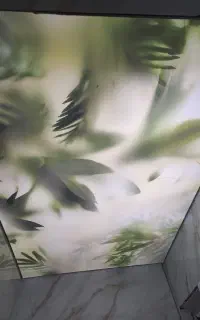 مجری تخصص سقف های کشسان