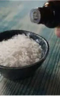 پخش اسانس خوراکی برنج