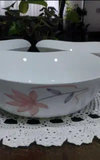 کاسه آرکوپال میوه خوری