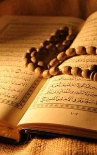 سرکتاب سیدفقط ۸۰