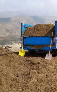 کود گوسفندی