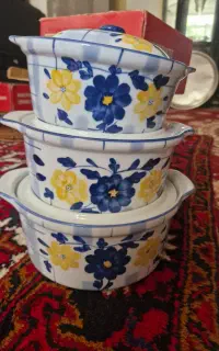 سوپنیک و مرغ خوری