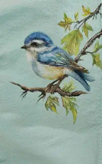 آموزش  و اجرای نقاشی روی پارچه و لباس