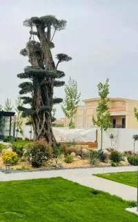 باغبانی طراحی باغچه روفگاردن با چک