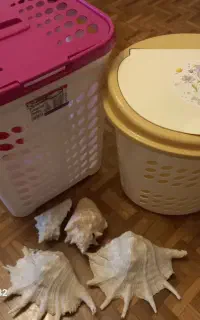 ۲ عدد سبد رخت چرک