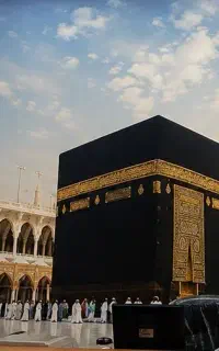 فیش عمره