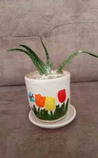 گل ۳تا گل میز تلوزیون