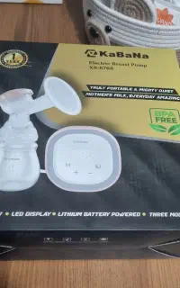 شیر دوش برقی