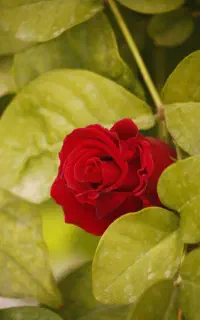 عکاسی ساحلی و عکاسی در لوکیشن های مختلف