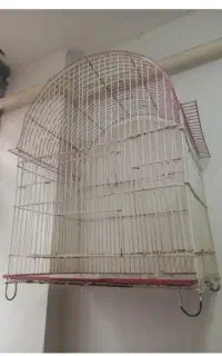 قفس بزرگ پرنده