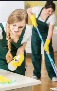 خانم جهت کار نظافت