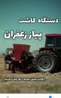استخدام نیرو کار و کشت زعفران