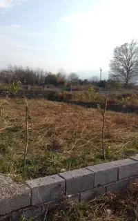 علف تراشی هرس برش چوب وغیره