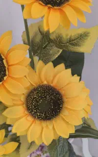 گل و گلدان شیک