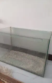 اکواریوم