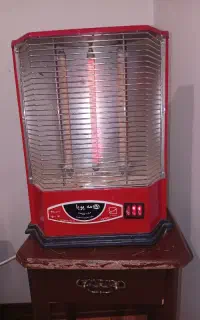 بخاری برغی مه پویا