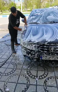 کارواشکار ماهر