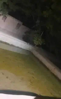 مغازه بلوار امام رضا