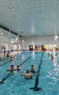 آموزش شنا مبتدی تا پیشرفته برای هر سنین
