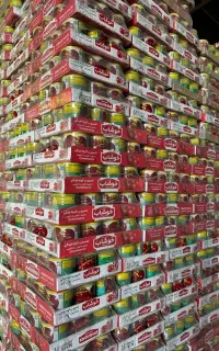 منشی ودستیار شخصی مدیر عامل