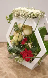 ساخت انواع سازه چوبی