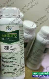 سم قارچکش اینفینیتو بایر - بیماری سفیدک