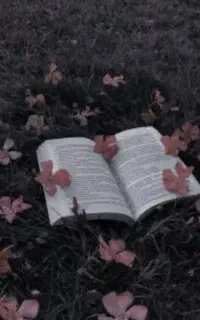 ادبیات