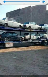 اوراقی اسقاطی کریمی