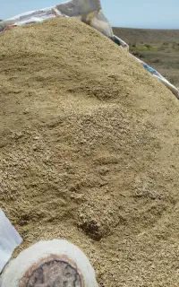 کاه عدس