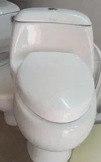 توالت فرنگی کارکرده