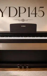 YDP.145 .j