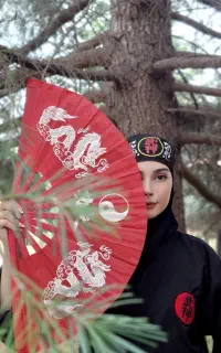 آموزش نینجوتسو (نینجا)