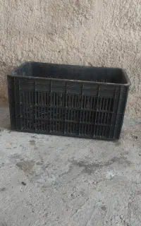 سبد