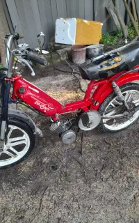 موتور گازی پاژنگ