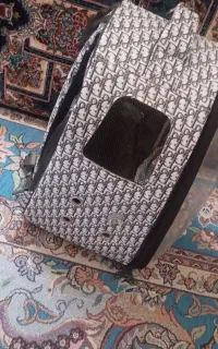 کیف پرنده